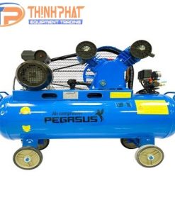 MÁY  NÉN KHÍ DÂY ĐAI  PEGASUS TM-V-0.25/12.5-180L