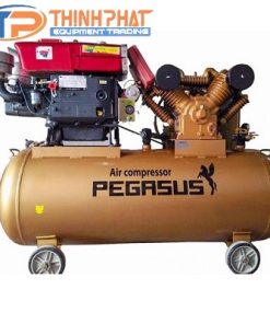 Máy nén khí chạy bằng dầu Diesel TM-W-2.0/12.5-500L