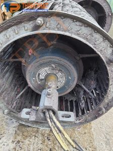 Dịch vụ vệ sinh